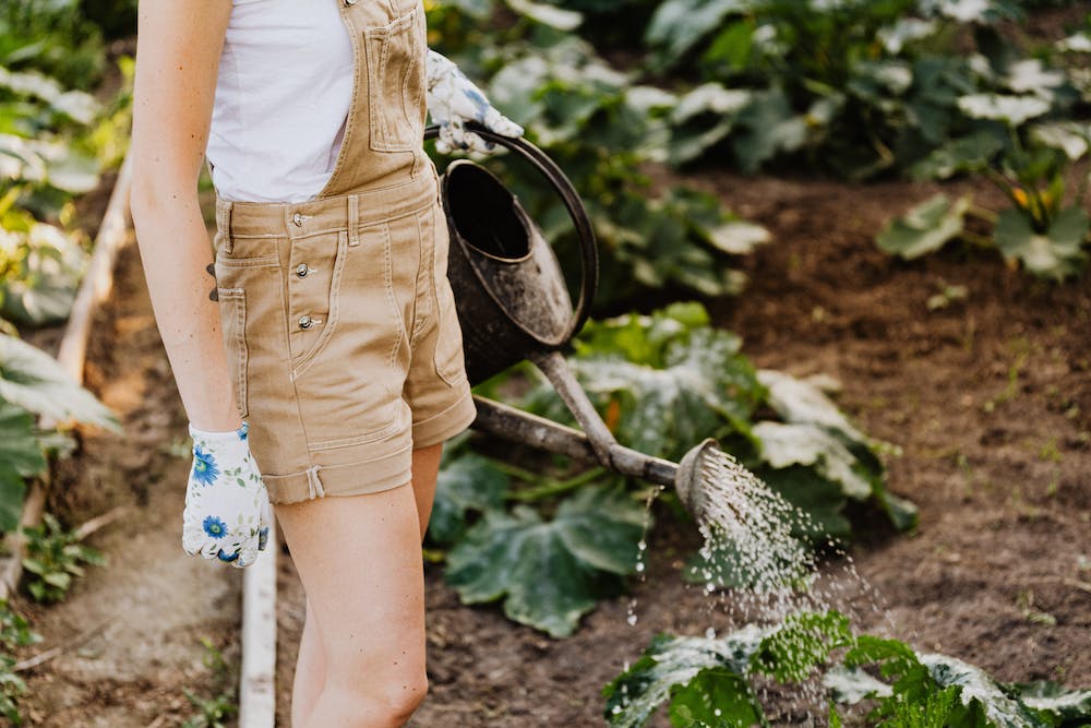 How to Choose the Right Soil for Your Garden
