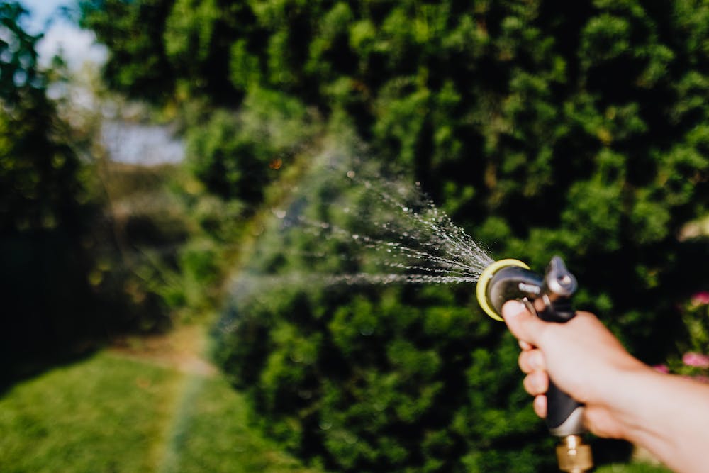 5 Tips for Watering Your Garden Effectively